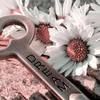 ladydi3602